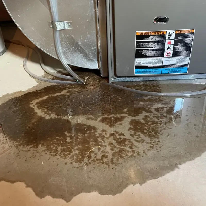 Pipe Burst and Leak Restoration in Coulee Dam, WA